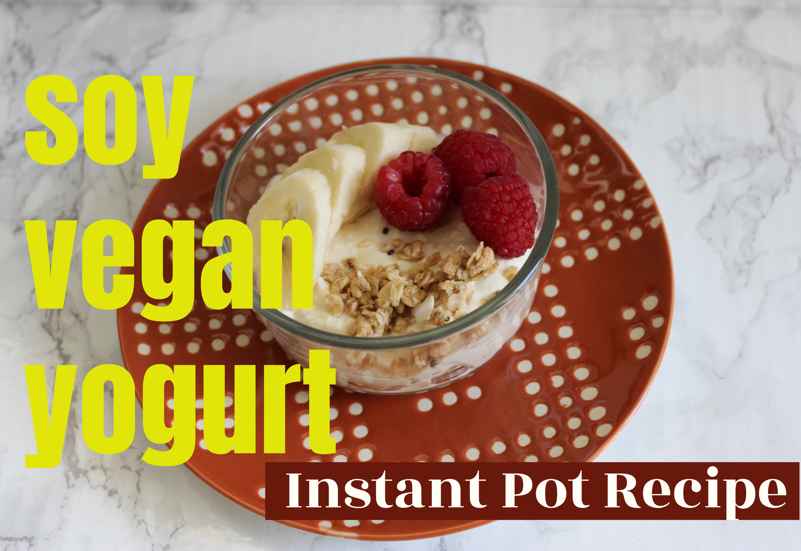 https://thisvegankitchen.com/wp-content/uploads/2019/02/Soy-Vegan-Yogurt.jpg